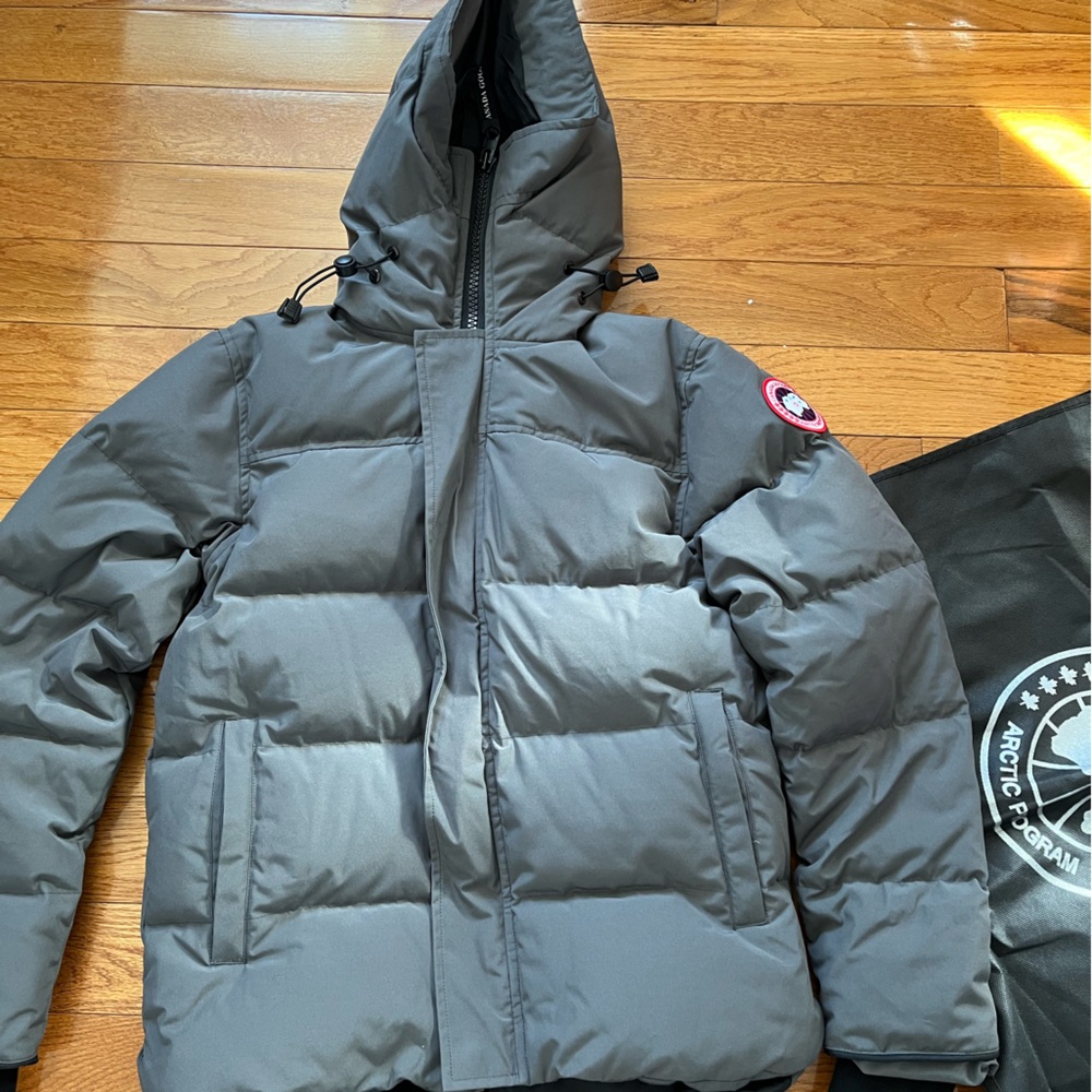 Canada goose
